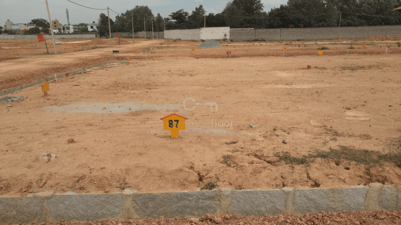 Plot / Site photo 4