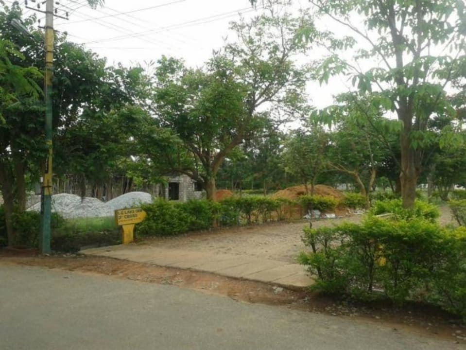 Plot / Site photo 3