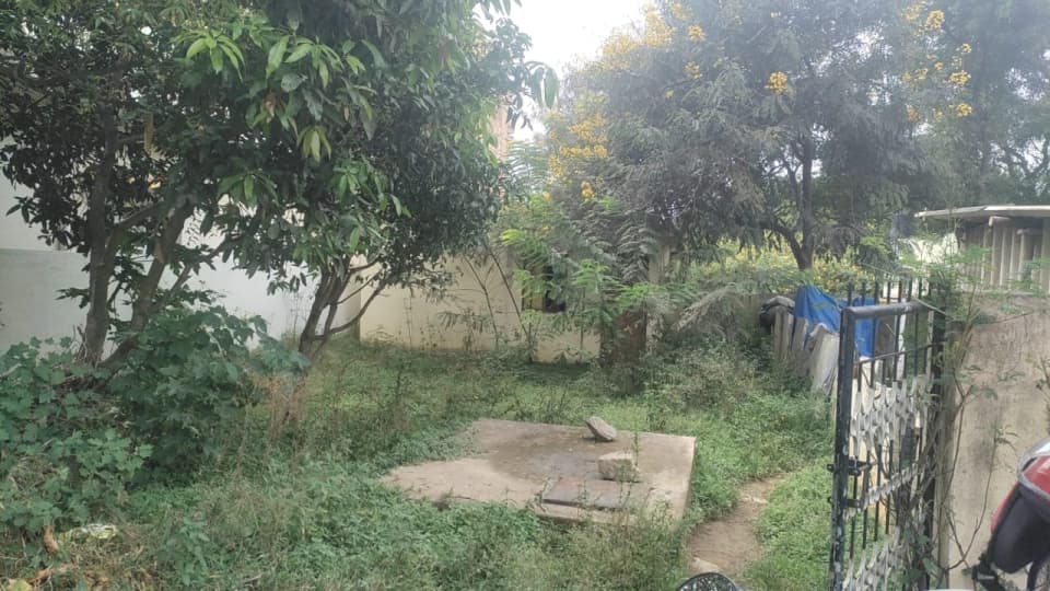 Plot / Site photo 3