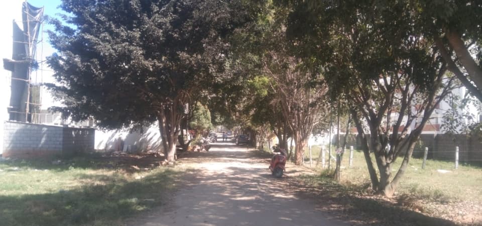 Plot / Site photo 2