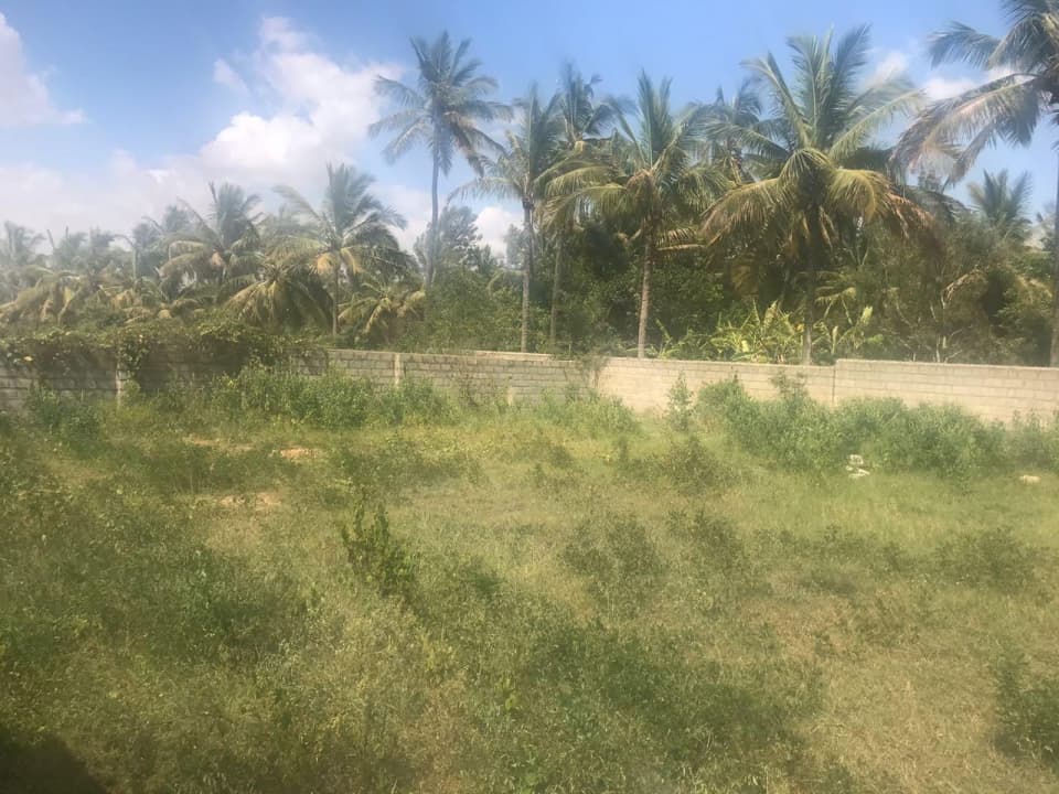 Plot / Site photo 2
