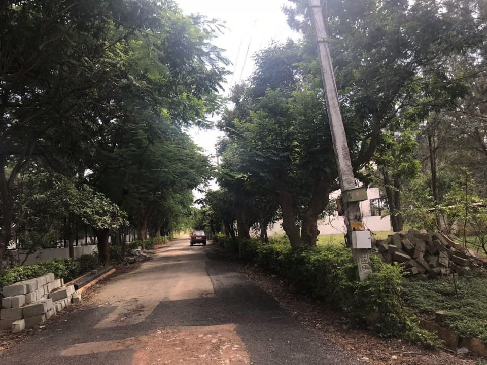 Plot / Site photo 3