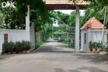 Plot / Site photo 2