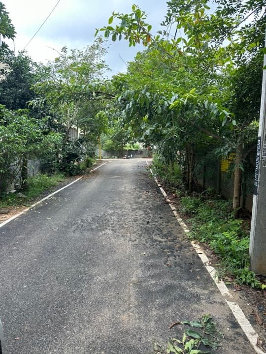 Plot / Site photo 3