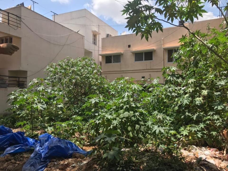 Plot / Site photo 2